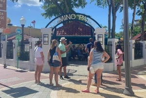 Miami: 2 giorni di triplo Combo (tour della città, tour in battello e tour delle Everglades)