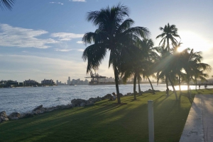 Miami : 2 heures d'excursion à vélo à la découverte de l'Art déco