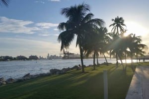 Miami: 2-Hour Art Deco Bike Tour