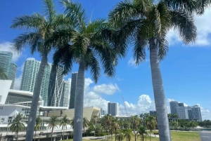 Miami: 2 hours Private City Tour by Air-Conditioned Vehicle