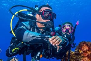 Miami: Dykkertur med 2 tanker
