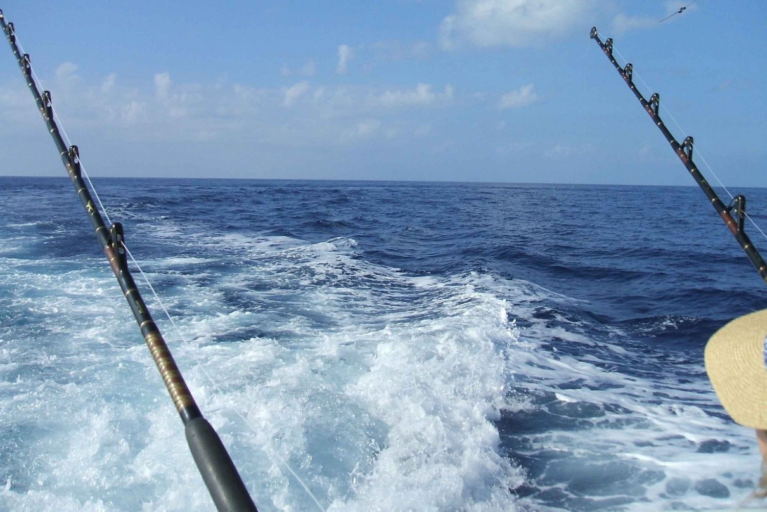 Miami: 4-Hour Deep Sea Fishing Trip on Biscayne Bay