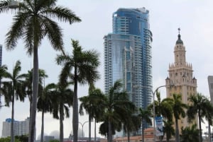 Miami : Tour de ville en bus avec prise en charge au centre-ville ou à Miami Beach