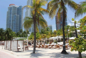 Miami: 5 Hour City Tour and Speedboat Ride with Pickup