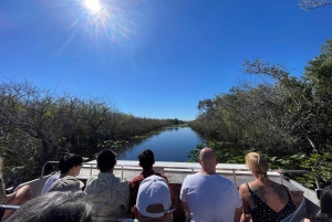 Miami: 60 minutter med Airboat, transfer og dyrereservat