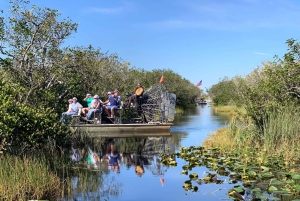 Miami: 60 min en hidrodeslizador, traslado y santuario de vida salvaje