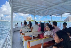 Miami: 60-minute City Cruise with Millionaire's Homes