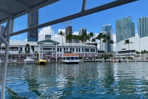 Miami: 60-minute City Cruise with Millionaire's Homes