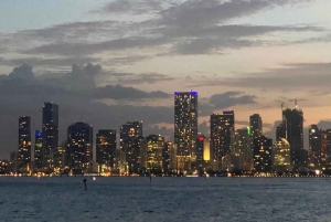 Miami : Croisière de 60 minutes en soirée sur la baie de Biscayne