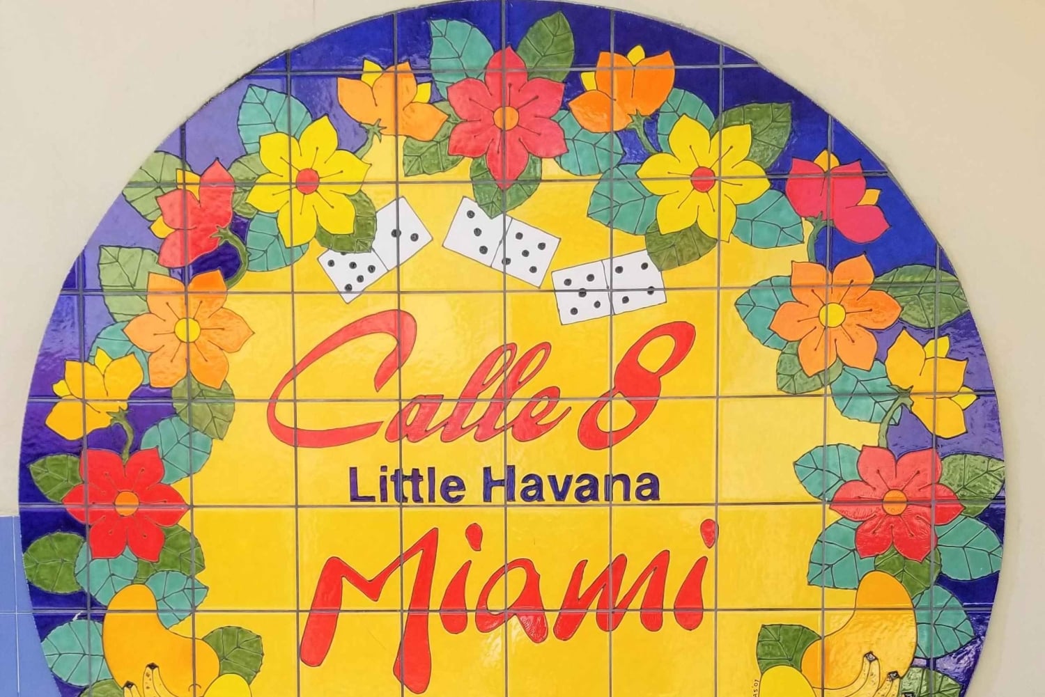 Tour turístico privado de Miami y Miami Beach