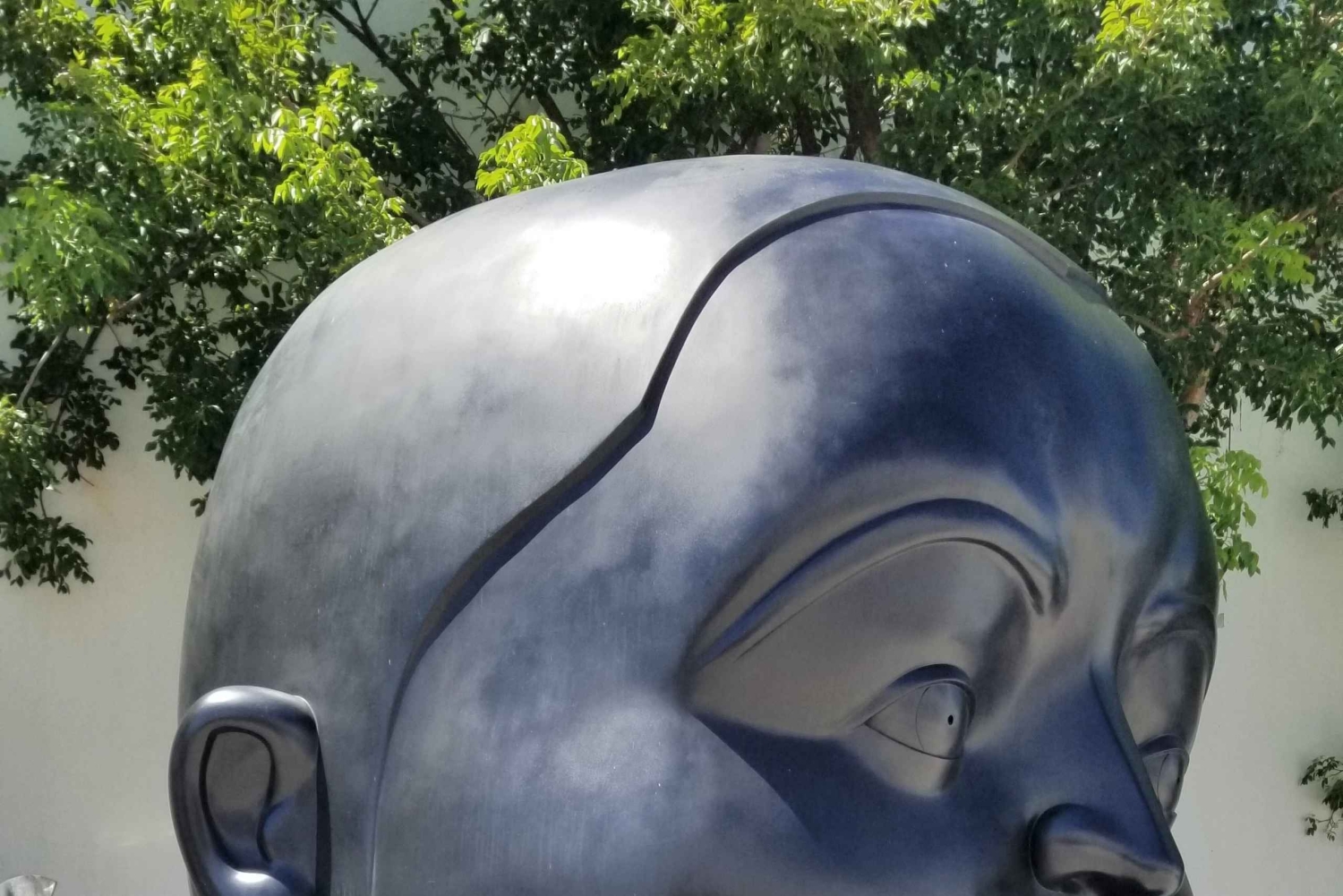 Tour turístico privado de Miami y Miami Beach