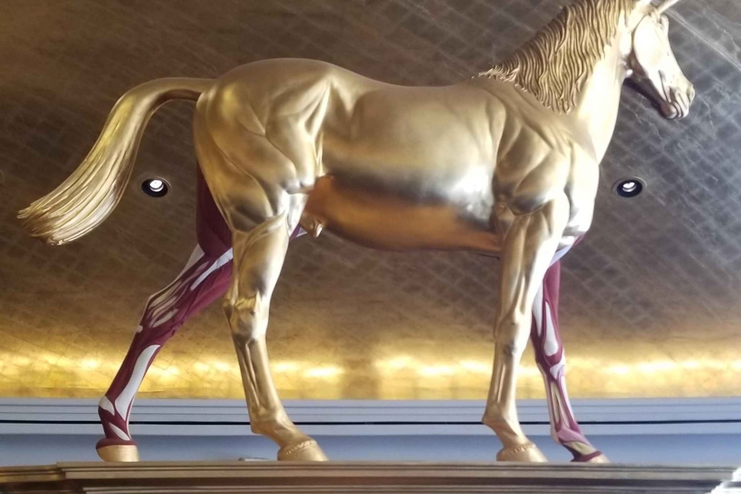 Tour turístico privado de Miami y Miami Beach