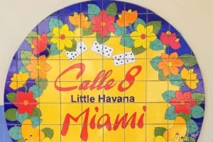 Tour turístico privado de Miami y Miami Beach