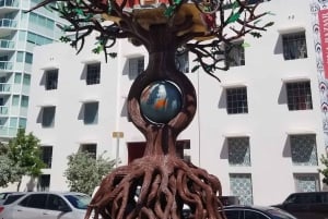 Tour turístico privado de Miami y Miami Beach