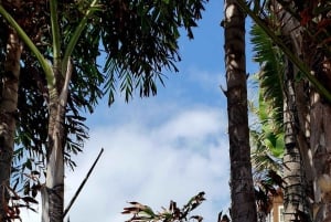 Miami Art Deco Jewels Small Group & Exclusive Access Tour