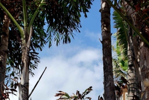 Tour en grupo reducido y con acceso exclusivo a las joyas Art Déco de Miami