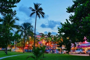 Miami : visite guidée de l'Art déco et de South Beach avec un guide