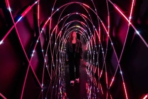 Miami: ARTECHOUSE Immersive Art Experience Entry Ticket