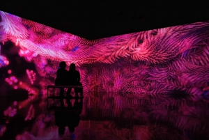 Miami: ARTECHOUSE Immersive Art Experience Entry Ticket