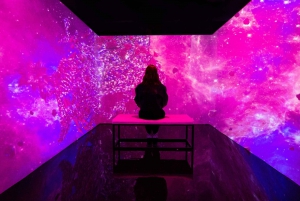 Miami: ARTECHOUSE Immersive Art Experience Entry Ticket