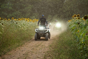 Miami ATV Xperience: Ride Day&Night, FREE Passenger, Pic&Vid