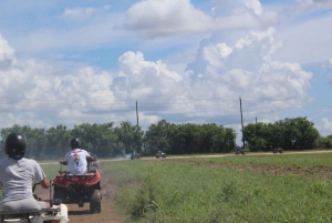 Miami ATV Xperience: поездка днем и ночью, БЕСПЛАТНЫЙ пассажир, фото и видео