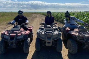 マイアミ ATV エクスペリエンス: 昼夜を問わず乗車、同乗者無料、写真と動画