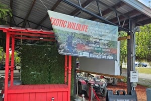 マイアミ ATV エクスペリエンス: 昼夜を問わず乗車、同乗者無料、写真と動画