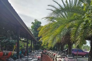 マイアミ ATV エクスペリエンス: 昼夜を問わず乗車、同乗者無料、写真と動画