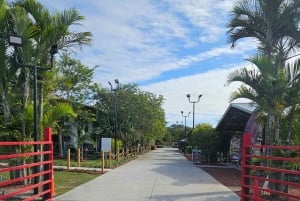 マイアミ ATV エクスペリエンス: 昼夜を問わず乗車、同乗者無料、写真と動画