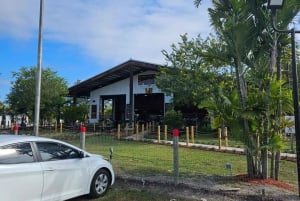 マイアミ ATV エクスペリエンス: 昼夜を問わず乗車、同乗者無料、写真と動画