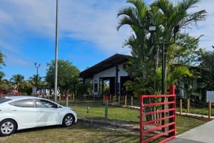 マイアミ ATV エクスペリエンス: 昼夜を問わず乗車、同乗者無料、写真と動画