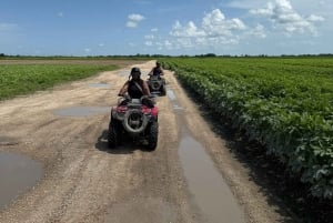 マイアミ ATV エクスペリエンス: 昼夜を問わず乗車、同乗者無料、写真と動画