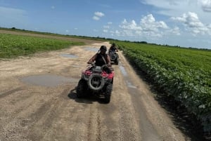 マイアミ ATV エクスペリエンス: 昼夜を問わず乗車、同乗者無料、写真と動画