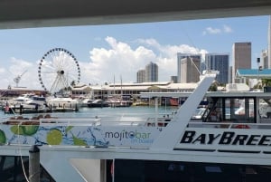 Miami Bay boat tour