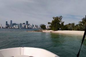 Miami Bay: Private Boat Rental for up to 4 Passengers