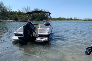 Miami Bay: Private Boat Rental for up to 4 Passengers