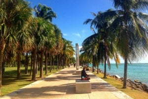 Miami Beach: 1-times tur på Segway