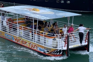 Miami Beach en Miami Biscayne Bay SKYLINE Watertaxi Cruise