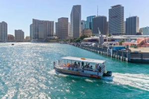 Cruzeiro de táxi aquático SKYLINE em Miami Beach e Miami Biscayne Bay