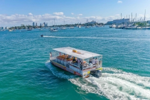 Miami Beach en Miami Biscayne Bay SKYLINE Watertaxi Cruise