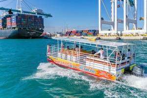 Miami Beach and Miami Biscayne Bay SKYLINE Water Taxi Cruise