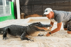 Miami Beach: Everglades Airboat Tours and Rides