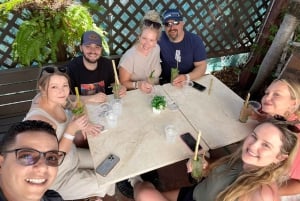 Miami Beach: tour guiado en bicicleta con degustación gastronómica (adultos)