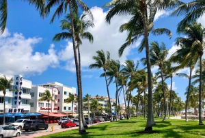 Miami Beach : Visite guidée avec un guide local expert