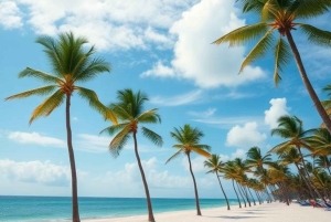 Miami Playa: Tour guiado con guía local experto