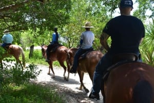 Miami : Promenade à cheval sur la plage et sentier de découverte de la nature