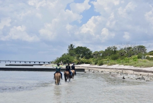 Miami : Promenade à cheval sur la plage et sentier de découverte de la nature