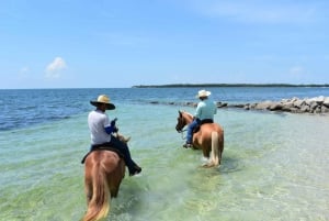 Miami: Ridning och naturstig på stranden