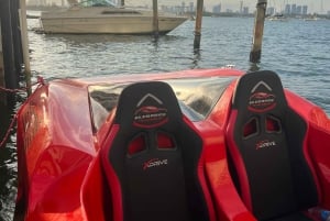 Miami: Alquiler de Jet Car en South Beach
